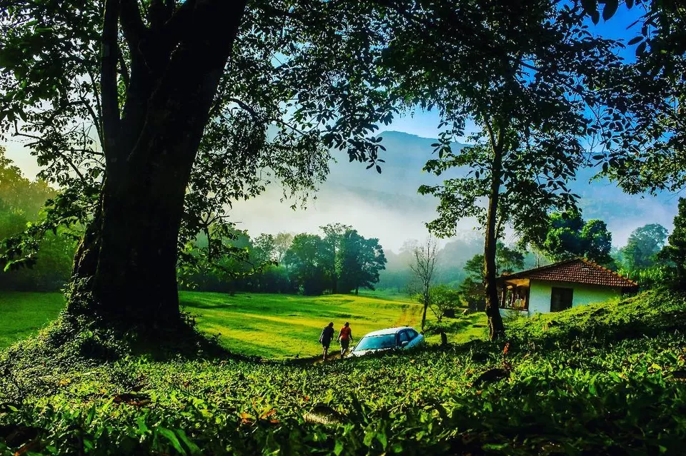 Photo of Coorg Pachibale, Pachibale, Karnataka, India by Anusha Nakshathra