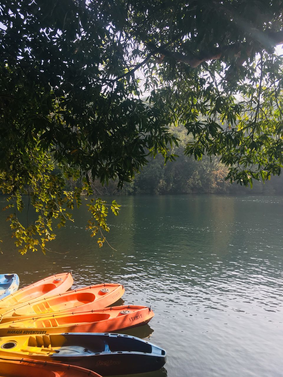 Photo of Dandeli, Karnataka, India by Anusha Nakshathra