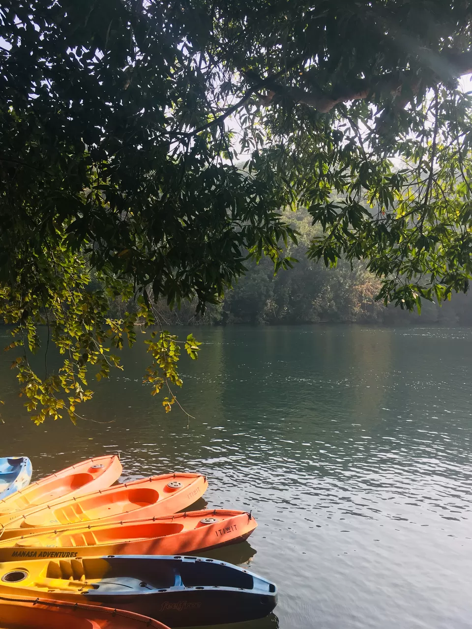 Photo of Dandeli, Karnataka, India by Anusha Nakshathra