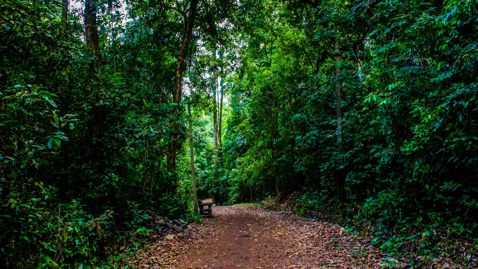 Photo of Yana Caves, Karnataka by Anusha Nakshathra