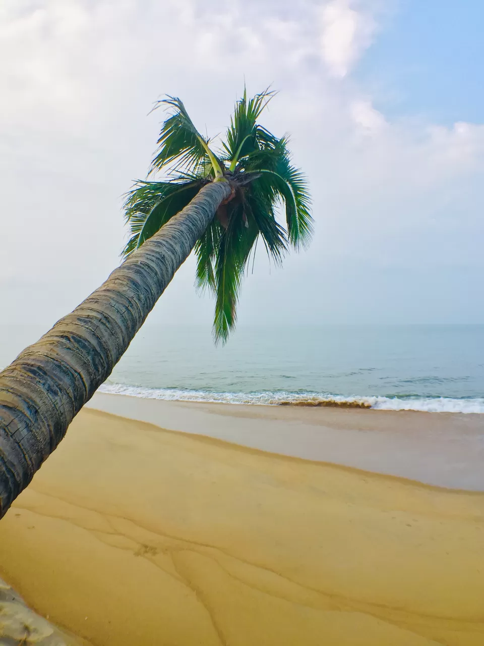 Photo of Mangalore, Karnataka, India by Anusha Nakshathra