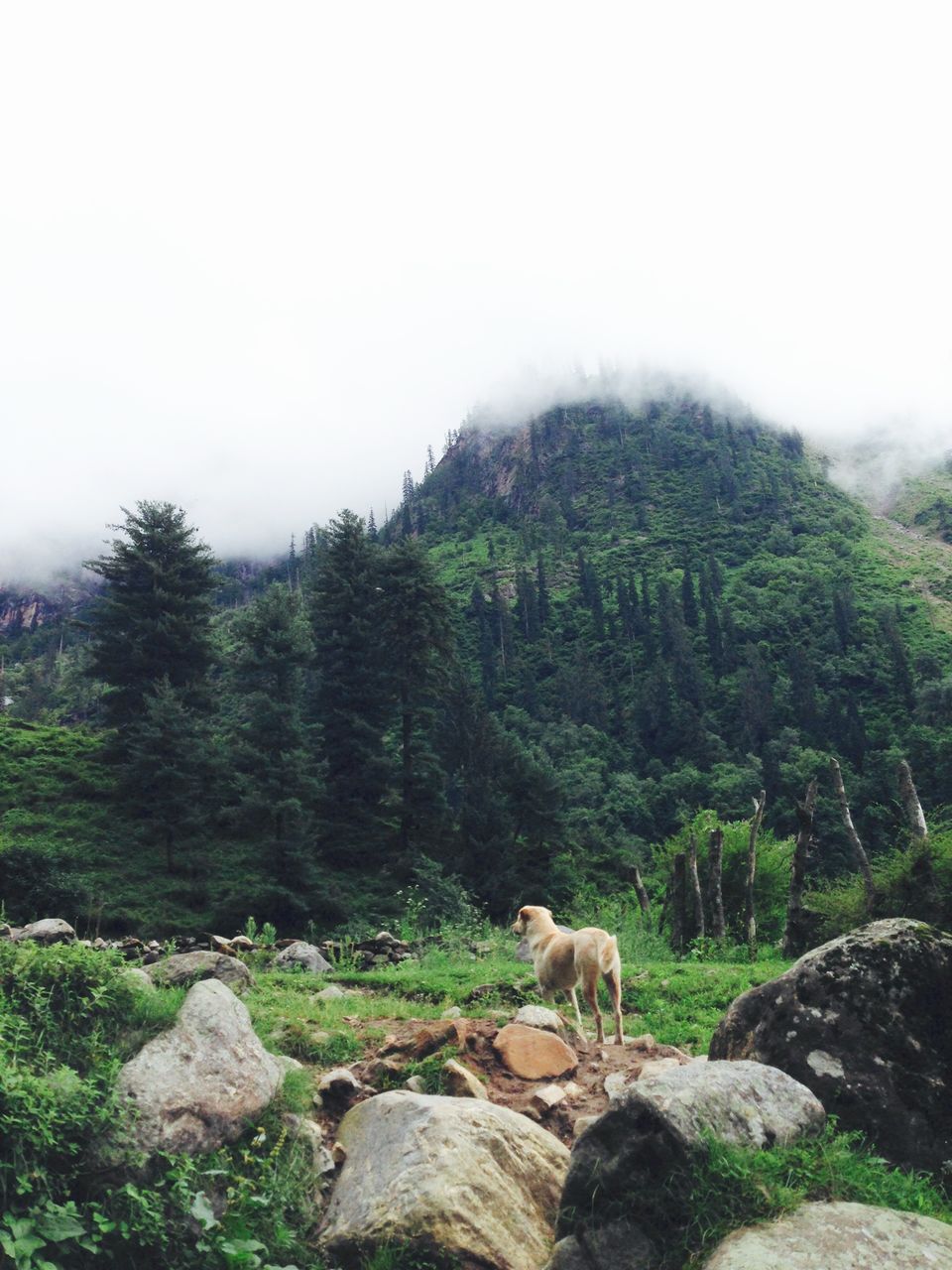 Photo of Reasons Why Making A New Friend Makes Your Trip Incredible! 2/10 by Cathline Chen