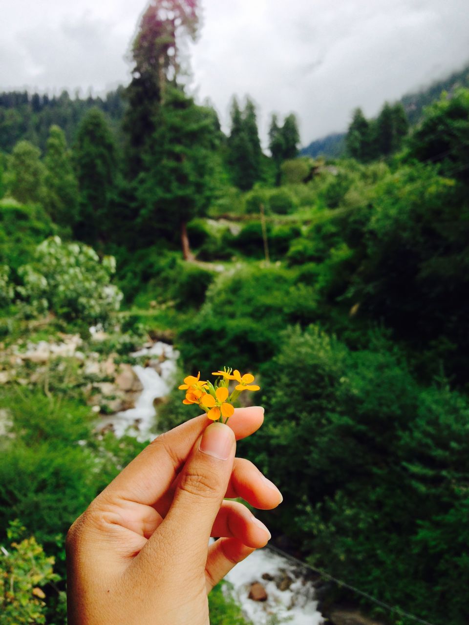 Photo of Reasons Why Making A New Friend Makes Your Trip Incredible! 5/10 by Cathline Chen