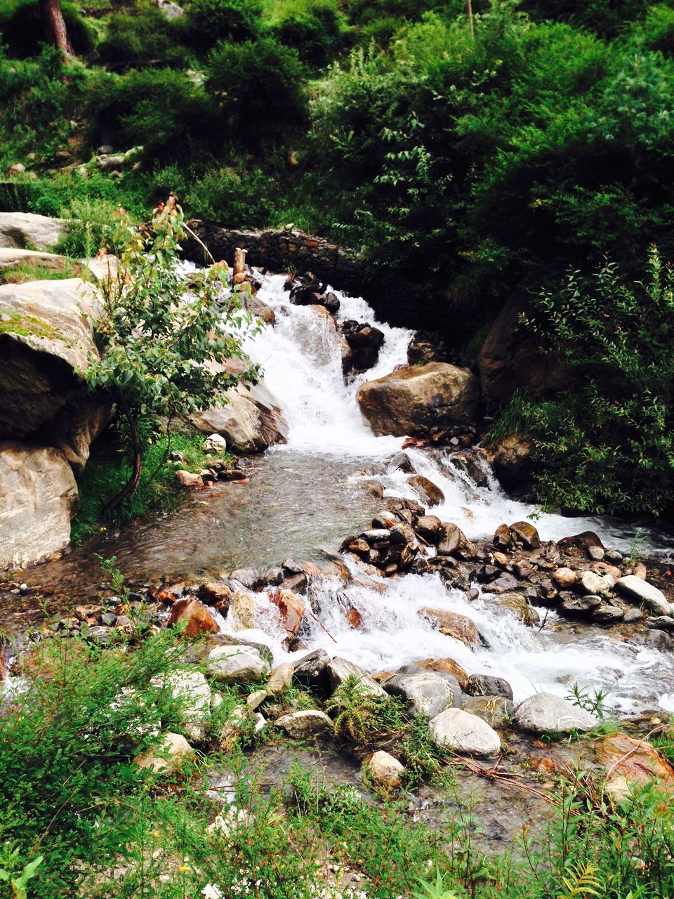 Photo of Reasons Why Making A New Friend Makes Your Trip Incredible! 7/10 by Cathline Chen