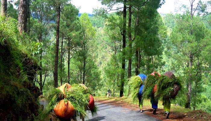 Photo of Kumaon Himalayas: An Adventure Bike Tour (Daily) 6/9 by India on Bicycle