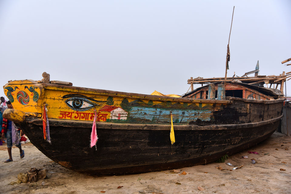 Photo of From Needles to Elephants 1/11 by Anuj Kumar
