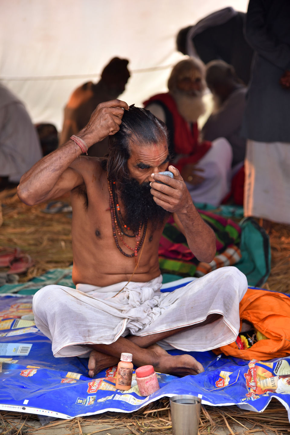 Photo of From Needles to Elephants 3/11 by Anuj Kumar