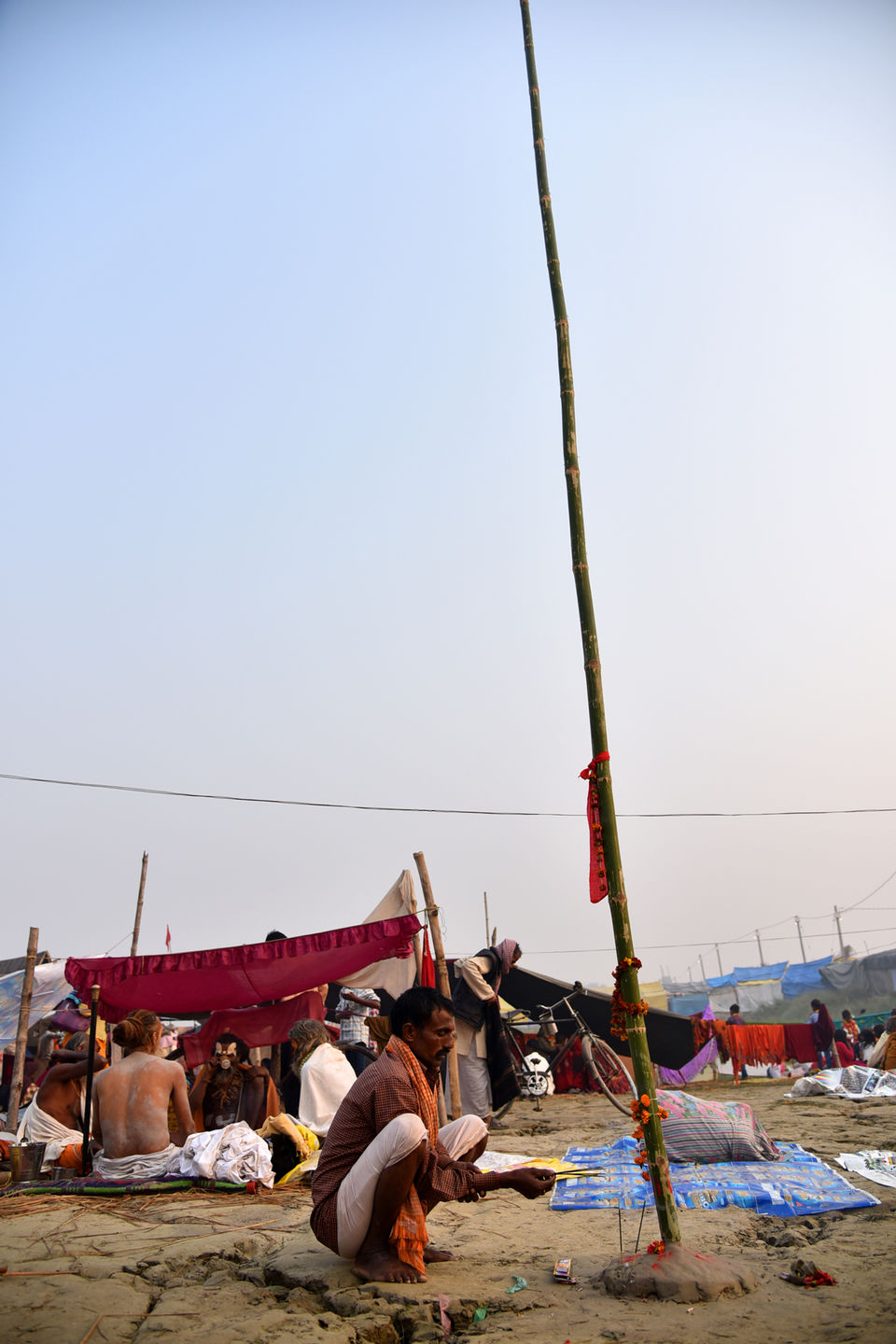 Photo of From Needles to Elephants 8/11 by Anuj Kumar