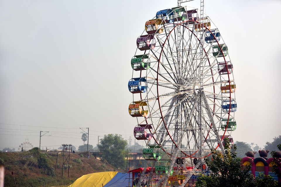 Photo of From Needles to Elephants 10/11 by Anuj Kumar