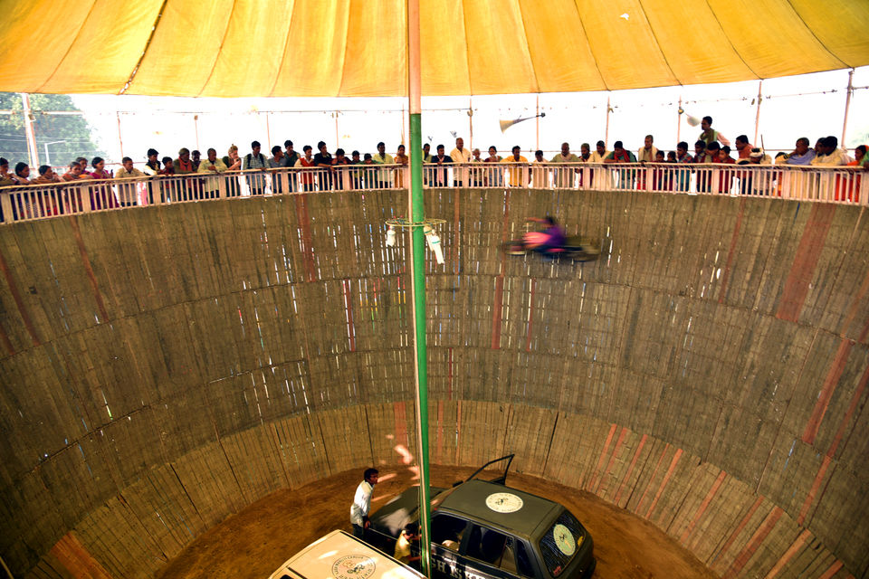 Photo of From Needles to Elephants 11/11 by Anuj Kumar