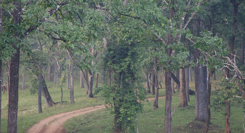 Photo of Nagarahole National Park, Karnataka, India by Aniruddha Kulkarni