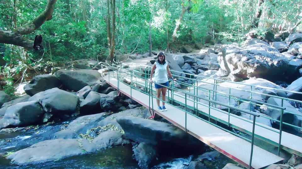 Photo of From The Best Beach To The Best Waterfall :- Dudhsagar Waterfall (Goa) 2/5 by Juhhii Bhatia
