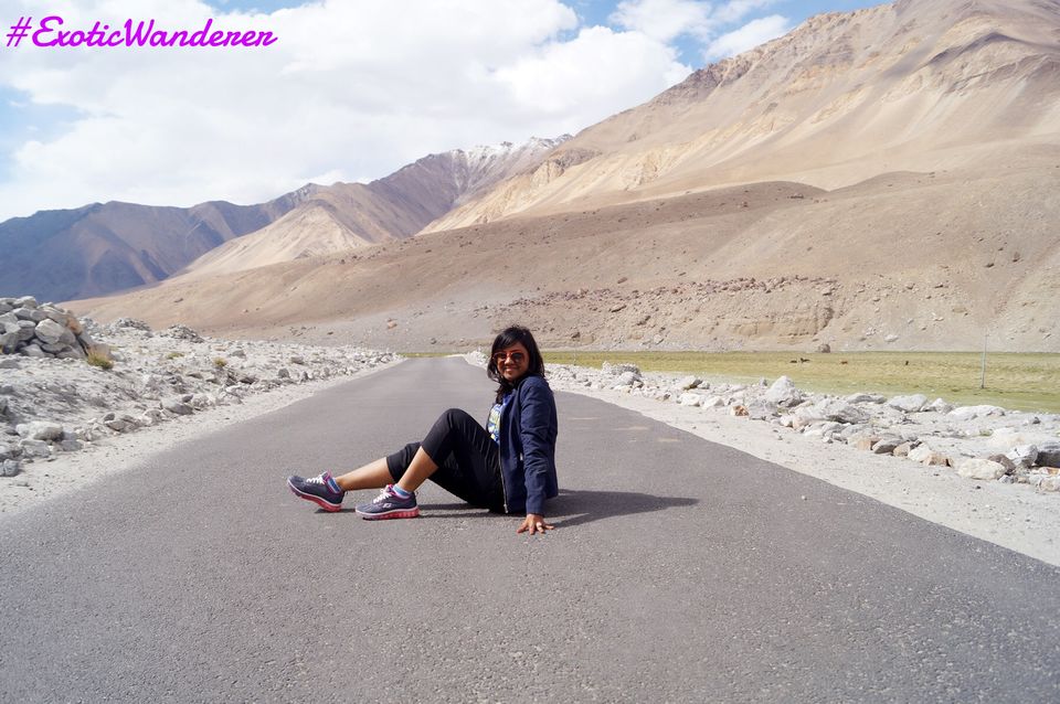 Photo of Leh Palace by Juhhii Bhatia