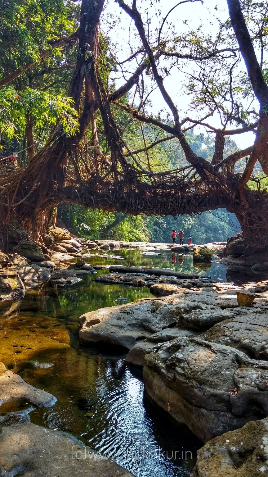 Photo of Meghalaya, India by Jai Thakur