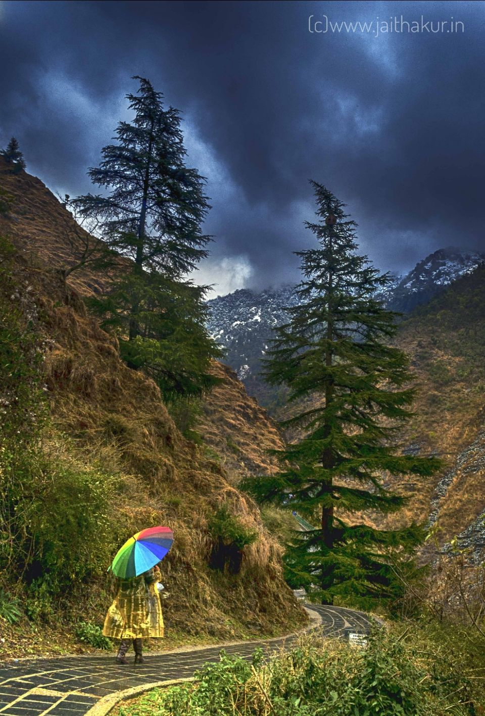 Photo of Triund Trek: Stay in clouds in just 4500 rupees by Jai Thakur