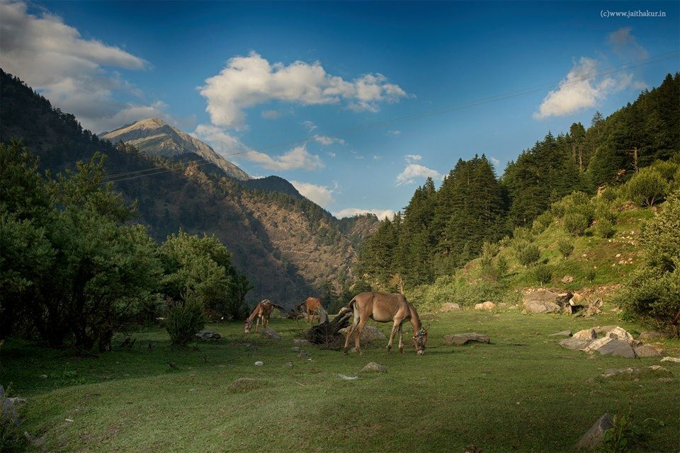 Photo of Harsil: Hidden jewel of Uttarakhand by Jai Thakur