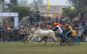 Photo of Kila Raipur Rural Olympics is a must see event by Jai Thakur