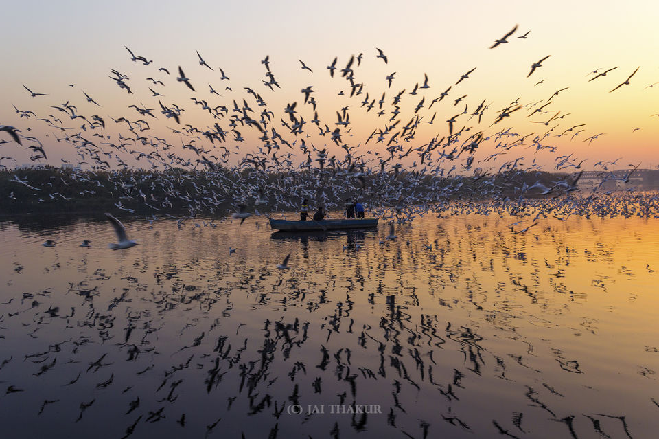 Photo of If you haven't seen this, you haven't seen Delhi yet by Jai Thakur