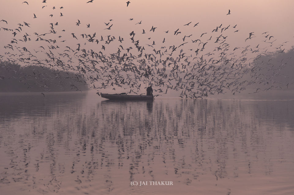 Photo of If you haven't seen this, you haven't seen Delhi yet 3/11 by Jai Thakur