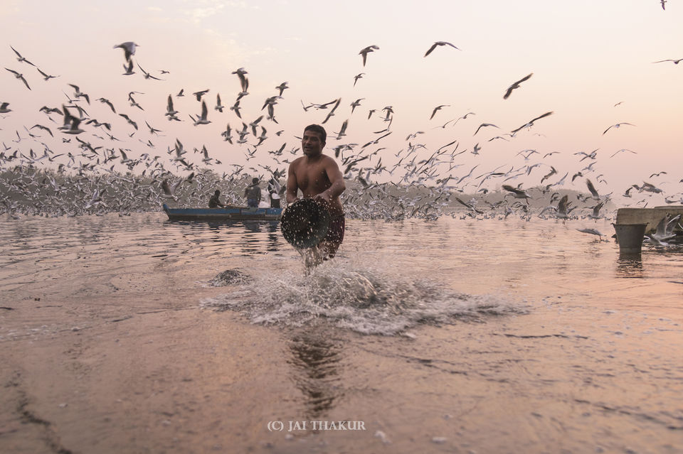 Photo of If you haven't seen this, you haven't seen Delhi yet 4/11 by Jai Thakur