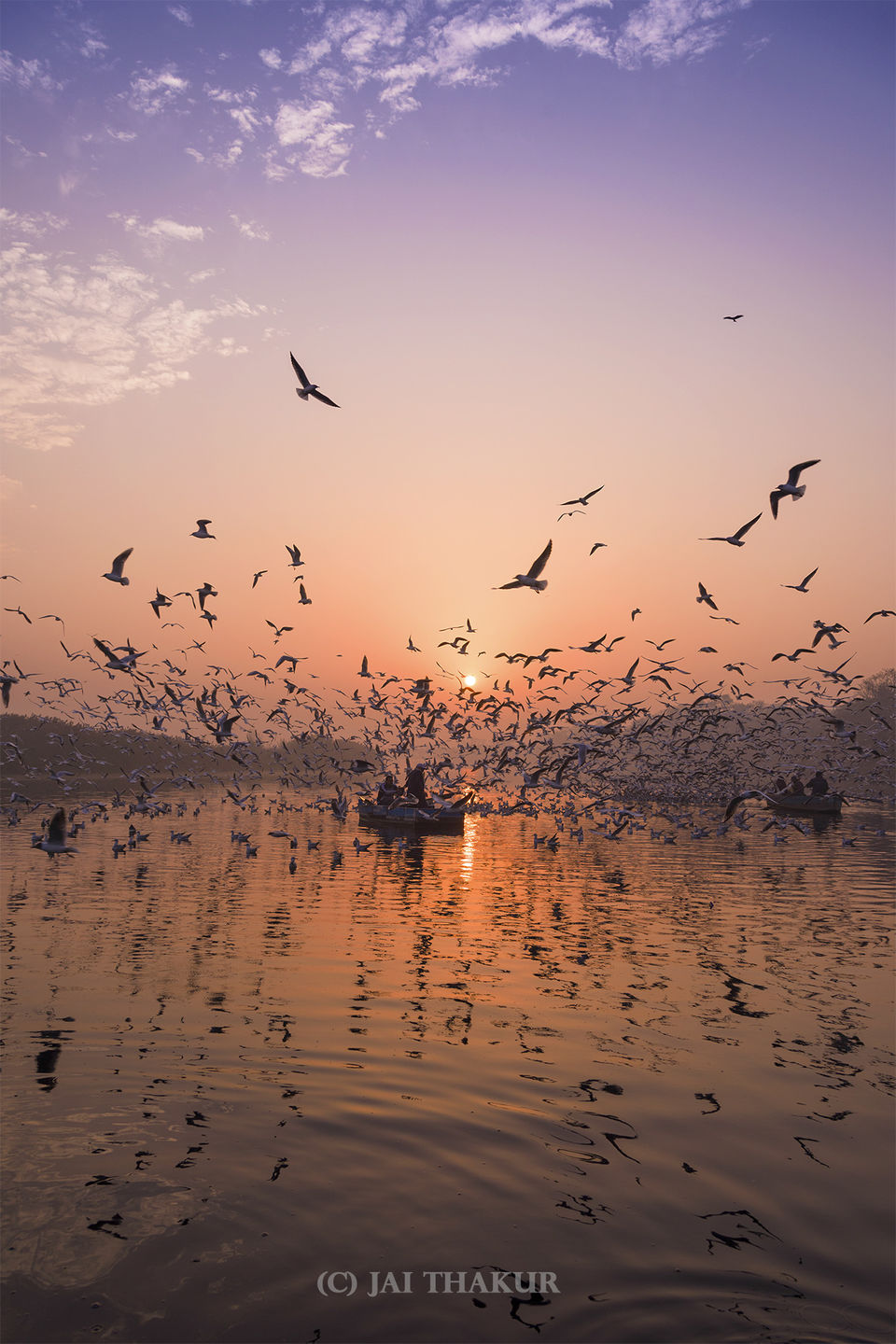 Photo of If you haven't seen this, you haven't seen Delhi yet 5/11 by Jai Thakur