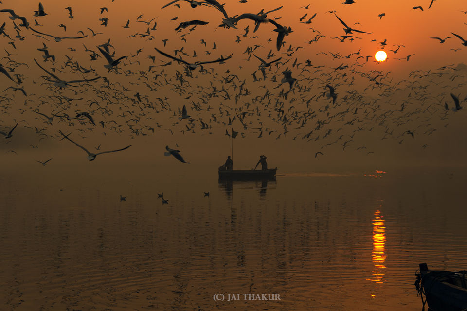Photo of If you haven't seen this, you haven't seen Delhi yet 10/11 by Jai Thakur