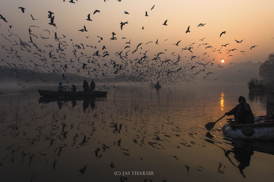 Photo of If you haven't seen this, you haven't seen Delhi yet 11/11 by Jai Thakur