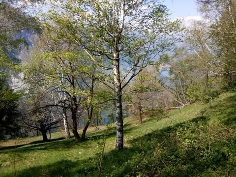 Photo of Excursion to San Martino - Lecco 8/13 by Priyanshi Singhal
