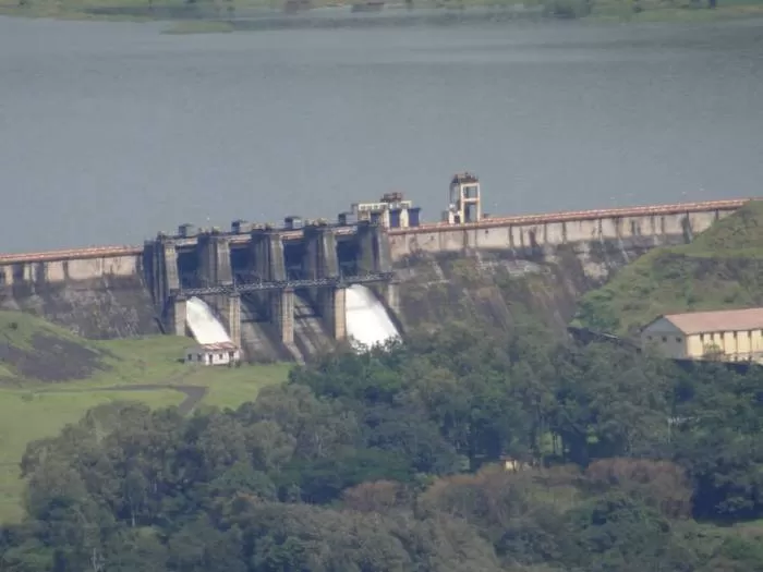 Photo of Kaas Plateau of Flowers, Satara, Maharashtra, India by Soni Charde
