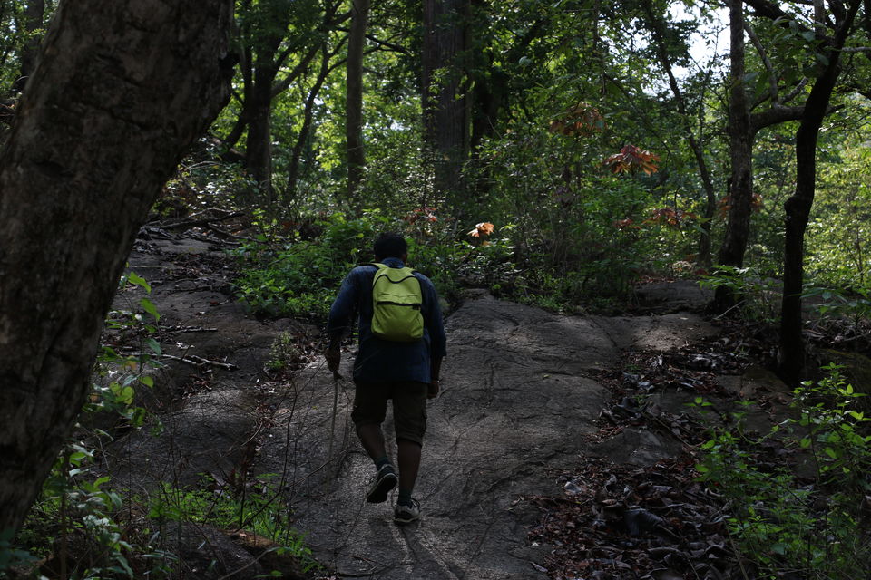 Photo of An adventuruous weekend trek in marotichal ! by Rohith Rajan