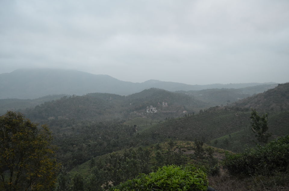 Photo of A trek to Chembra Peak 1/14 by tkcliks 