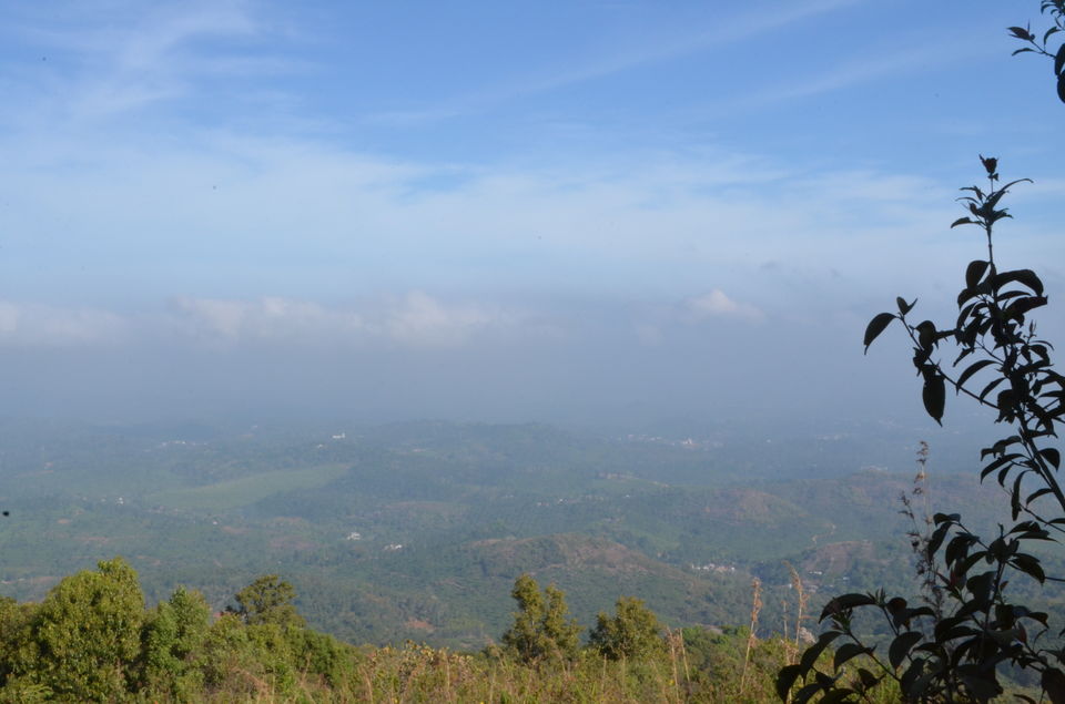 Photo of A trek to Chembra Peak 3/14 by tkcliks
