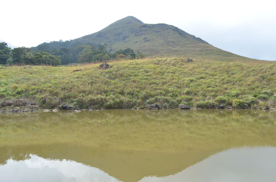 Photo of A trek to Chembra Peak 4/14 by tkcliks
