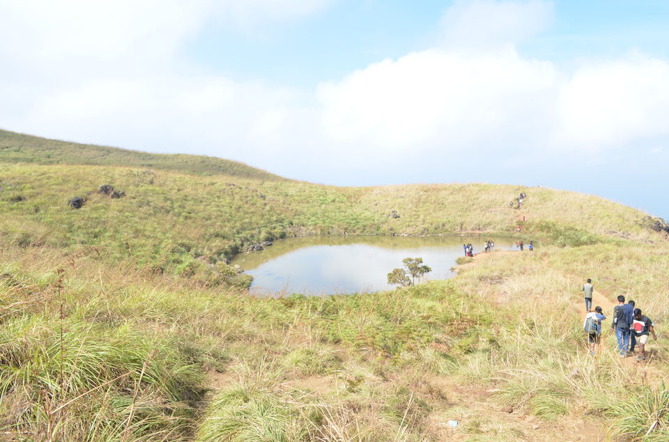 Photo of A trek to Chembra Peak 13/14 by tkcliks