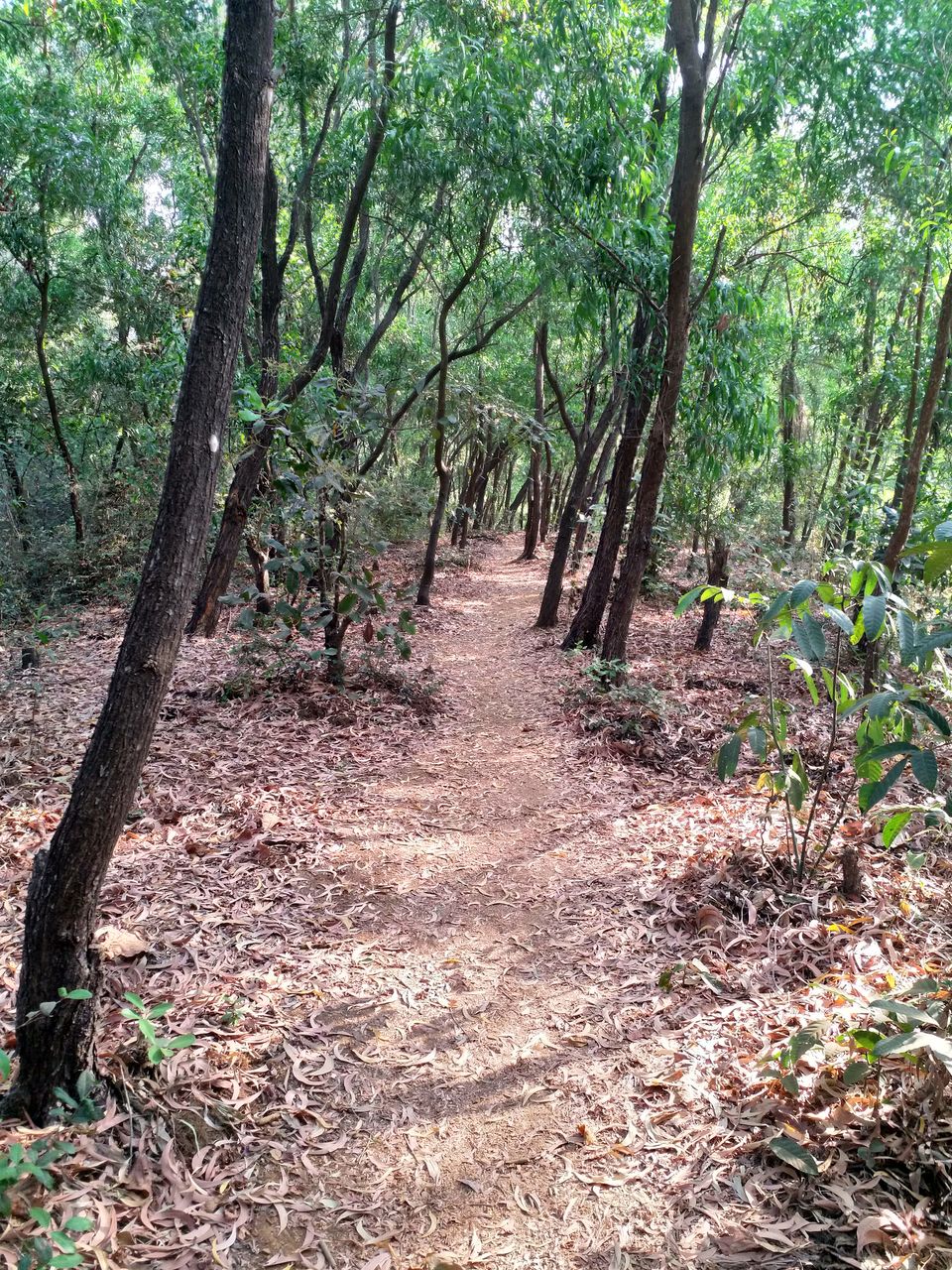 Photo of Trek to Beaches of Gokarna 8/13 by tkcliks