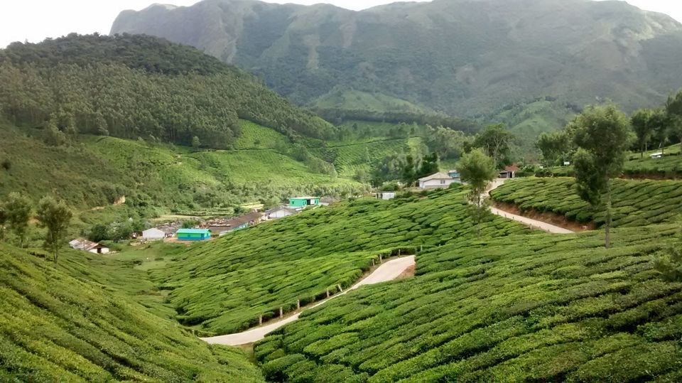 Photo of Madurai to Kerala 13/16 by Jessi