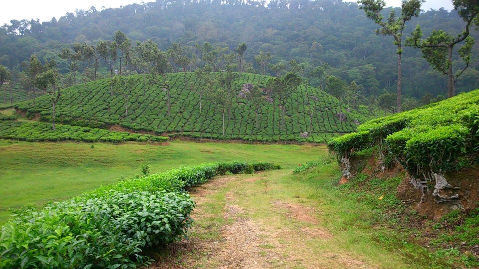 Photo of Madurai to Kerala 4/16 by Jessi