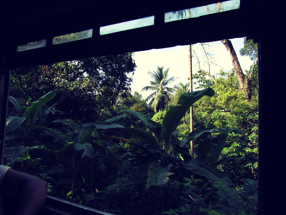Photo of When a North Indian traveled to Sri Lanka by Aman (Jessica)
