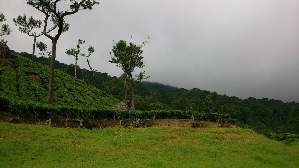 Photo of Madurai to Kerala 2/16 by Jessi