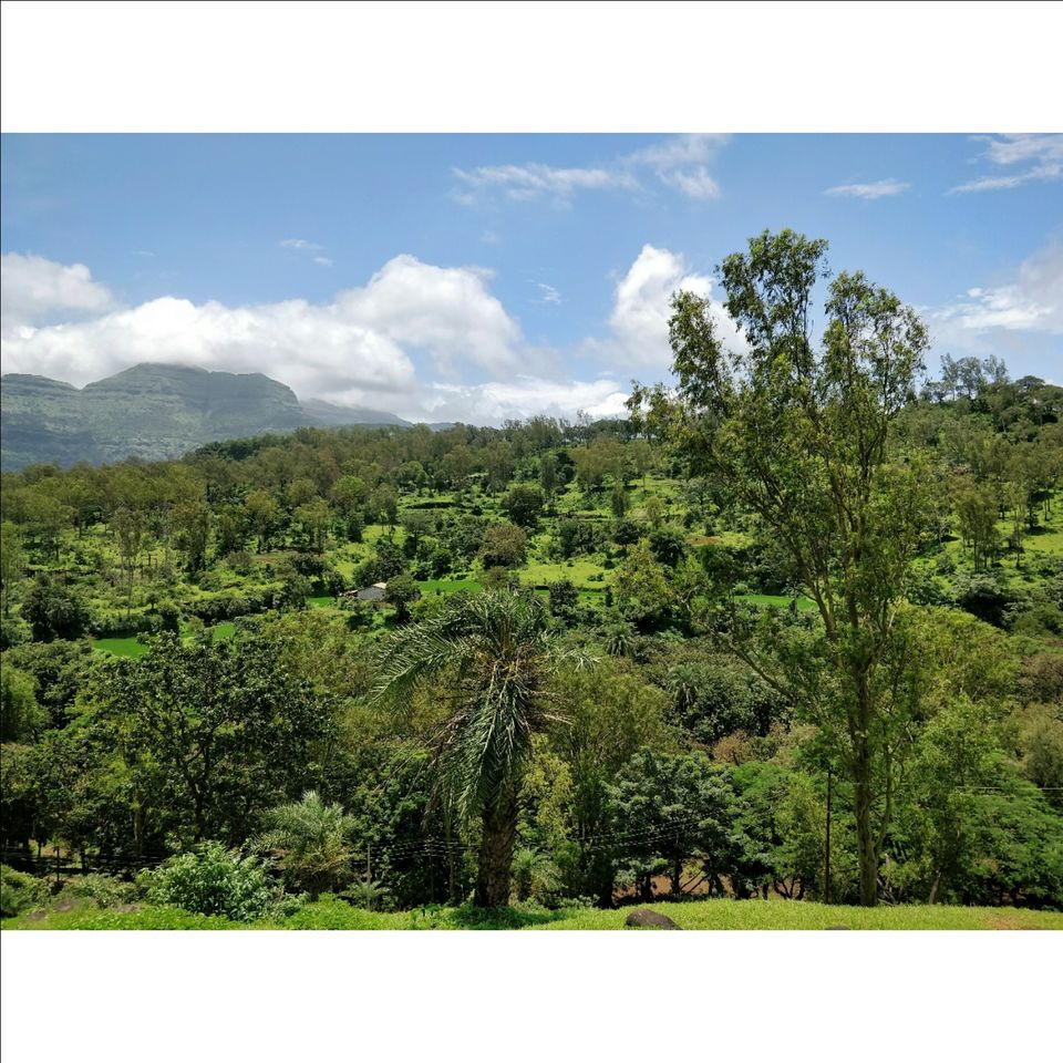 Photo of Igatpuri : The Incredible Lush Green Fantasy Land by Jenn Rumao