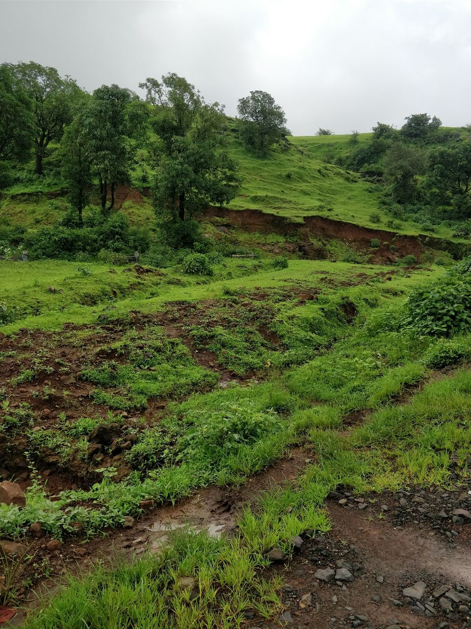 Photo of Igatpuri : The Incredible Lush Green Fantasy Land by Jenn Rumao