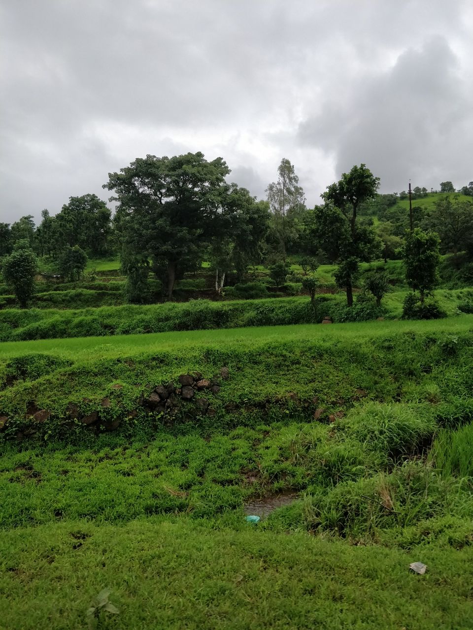 Photo of Igatpuri : The Incredible Lush Green Fantasy Land by Jenn Rumao