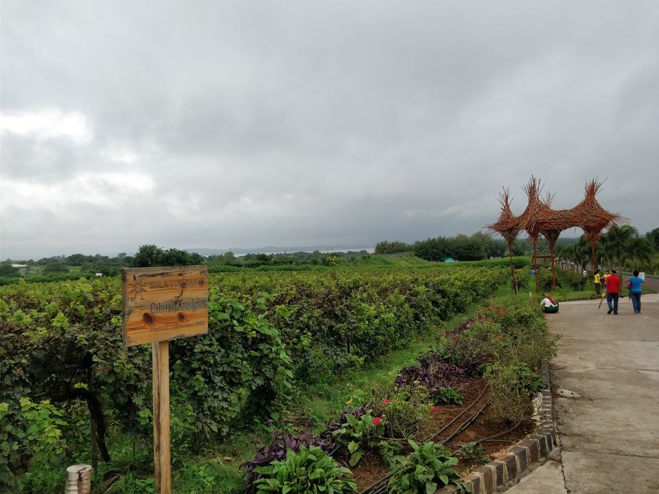 Photo of Igatpuri : The Incredible Lush Green Fantasy Land by Jenn Rumao