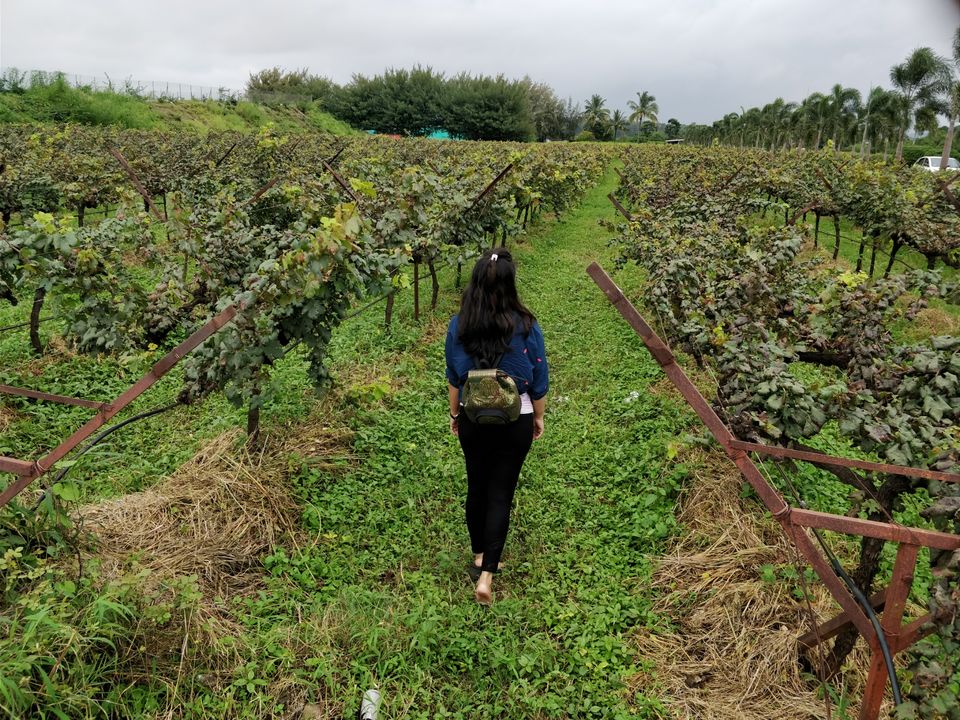 Photo of Igatpuri : The Incredible Lush Green Fantasy Land by Jenn Rumao