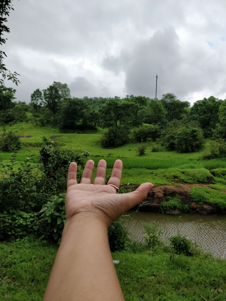 Photo of Igatpuri : The Incredible Lush Green Fantasy Land by Jenn Rumao