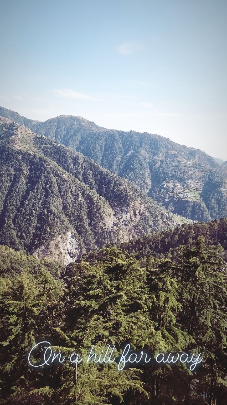 Photo of Zostel Dalhousie, Dalhousie, Himachal Pradesh, India by Jenn Rumao