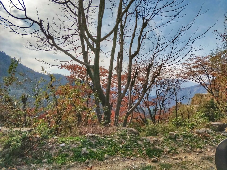 Photo of Kalatop Wildlife Sanctuary, Kalatope R.F, Himachal Pradesh, India by Jenn Rumao