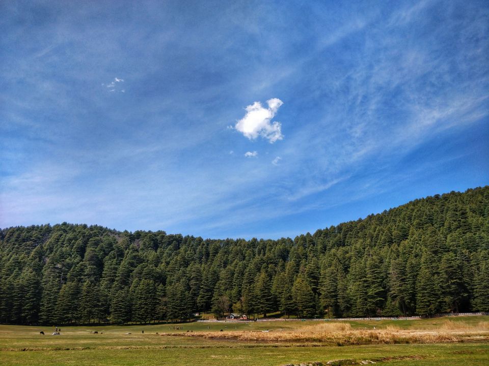 Photo of Khajjiar, Himachal Pradesh, India by Jenn Rumao