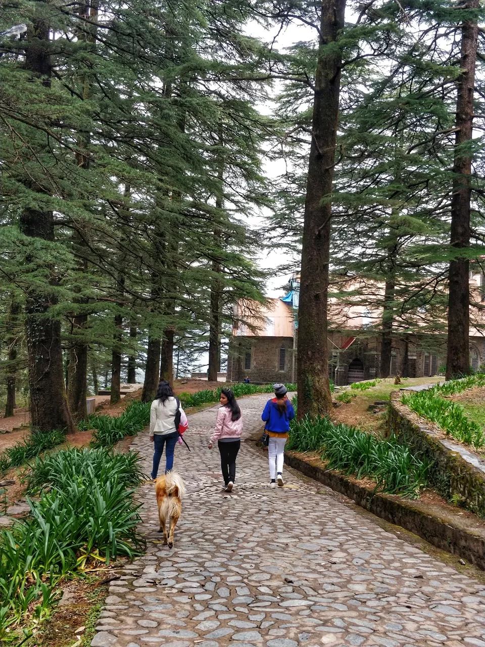 Photo of St. John Church, Road to Naddi Village from McLeod Ganj, McLeod Ganj, Dharamshala, Himachal Pradesh, India by Jenn Rumao