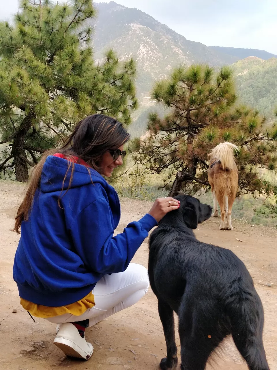 Photo of Naddi View Point, McLeod Ganj, Dharamshala, Himachal Pradesh, India by Jenn Rumao